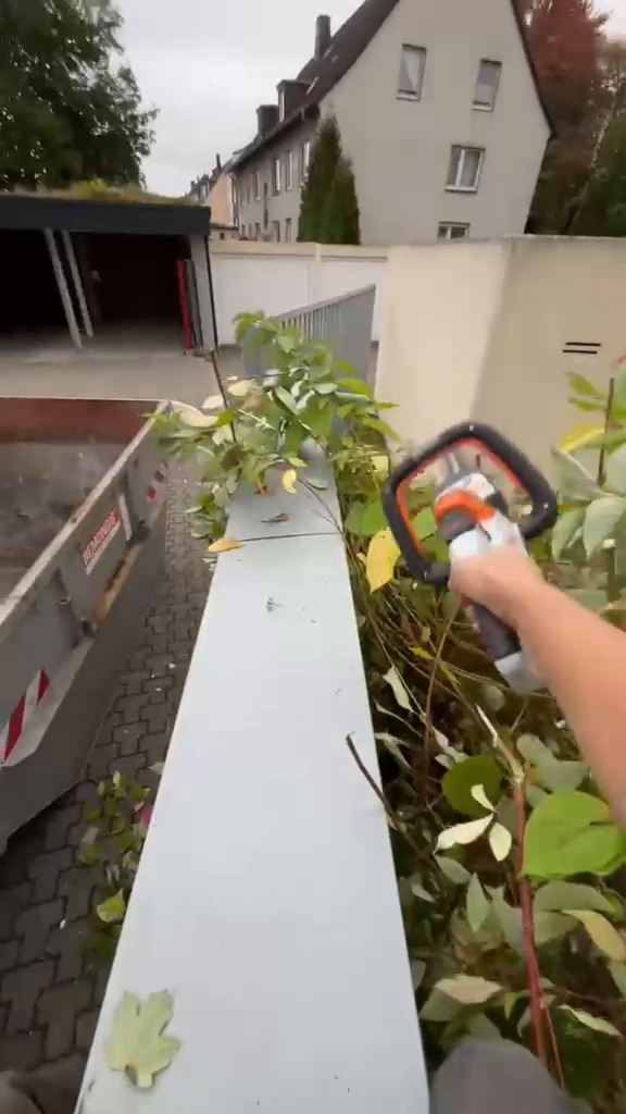 Heckenschere beim Zurückschneiden von Trieben aus der Arbeitsperspektive