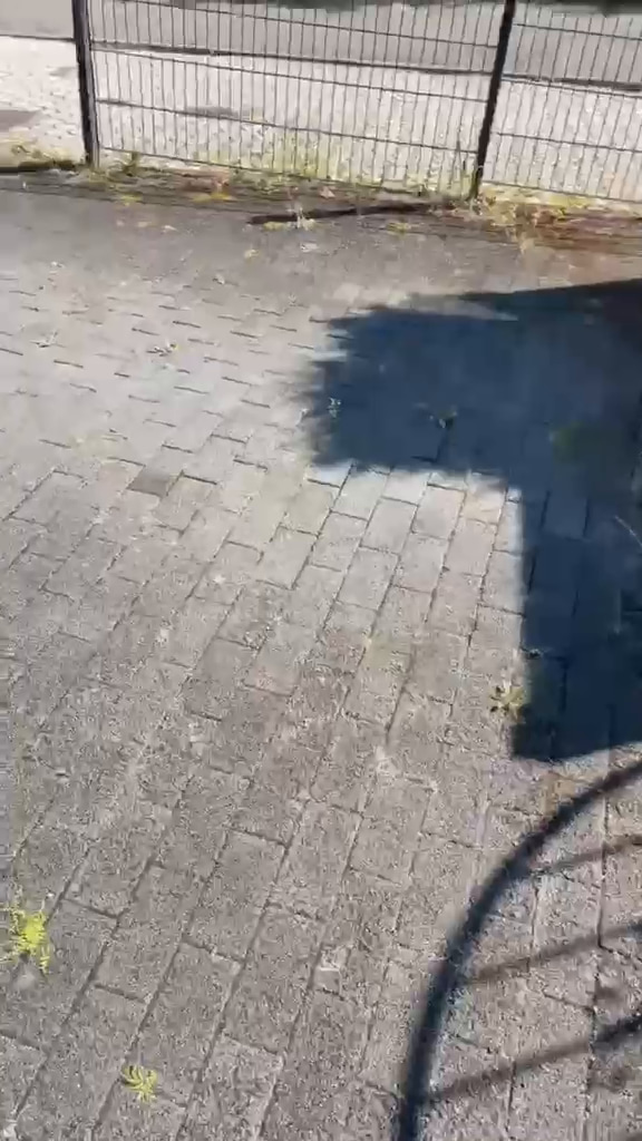 Pflasterfläche mit Schatten und Pflanzenresten aus einem Pflegeeinsatz