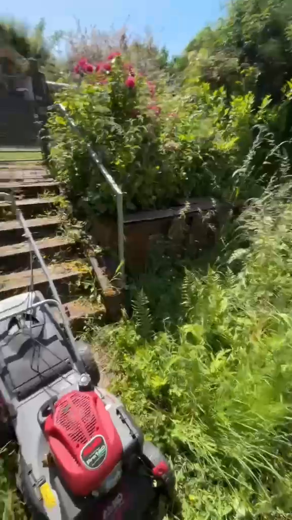 Rasenmäher in einem Garten mit dichtem Bewuchs