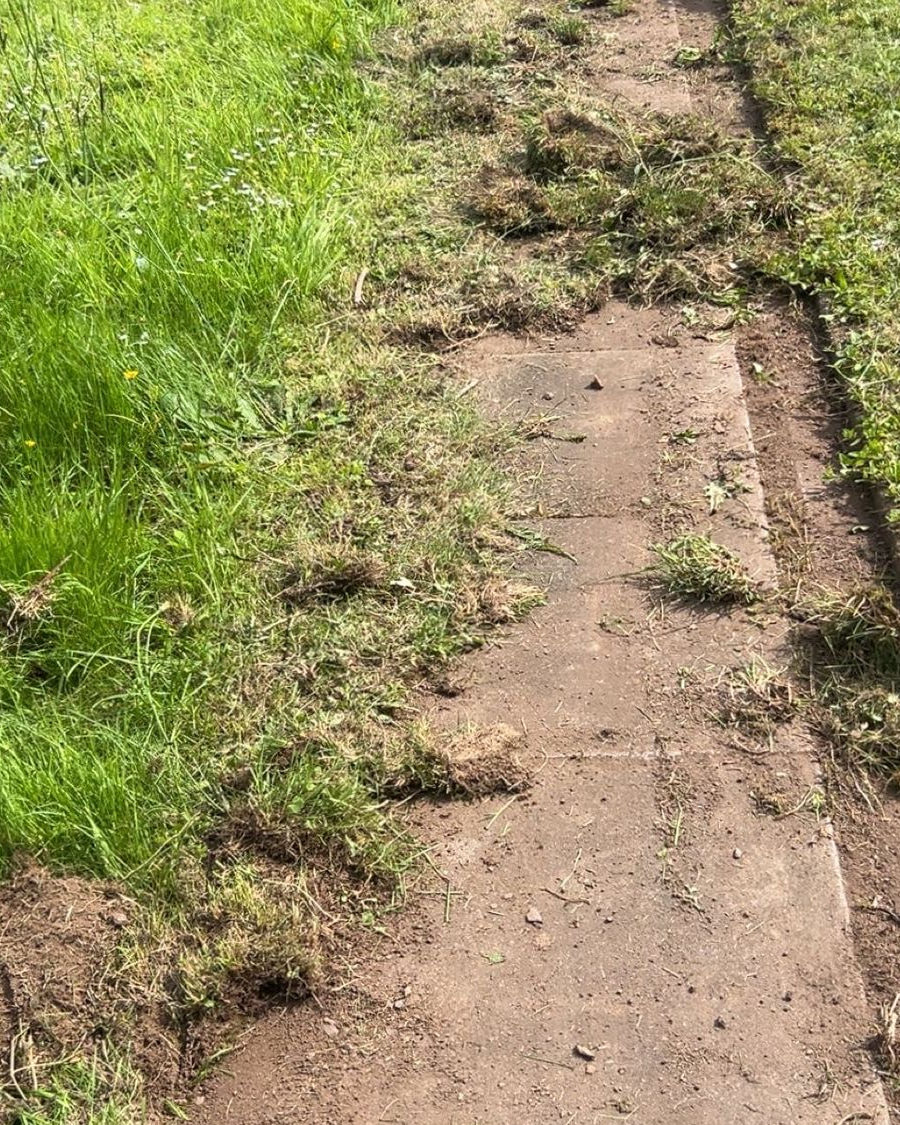 Freigelegte Gartenwegkante mit gesammeltem Bewuchs während eines Pflegeeinsatzes