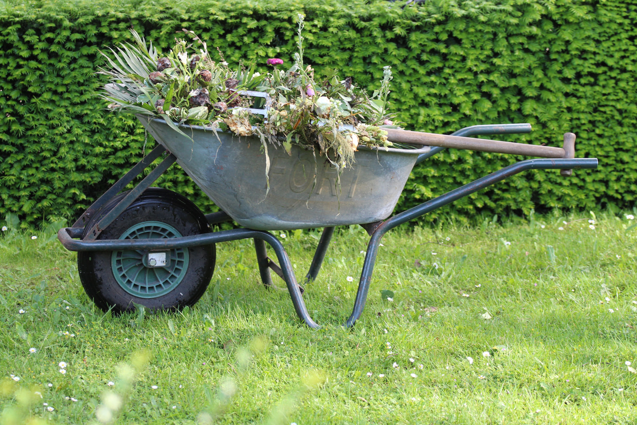 Symbolbild: Schubkarre mit gesammelten Pflanzenresten und Gartenwerkzeug vor einer Hecke